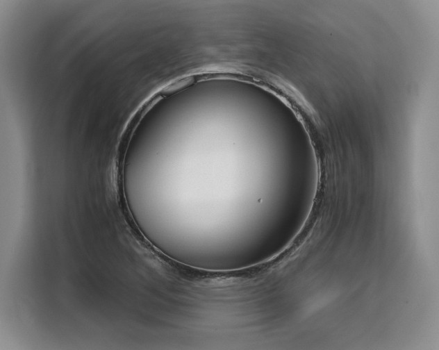 X0000110321268200905211519