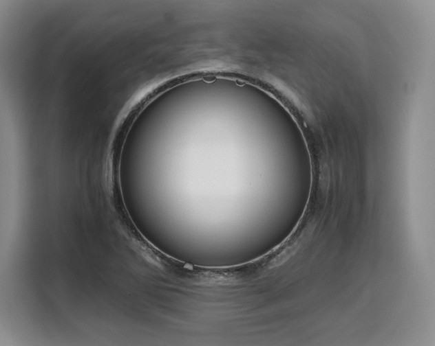 X0000110321270200905211519