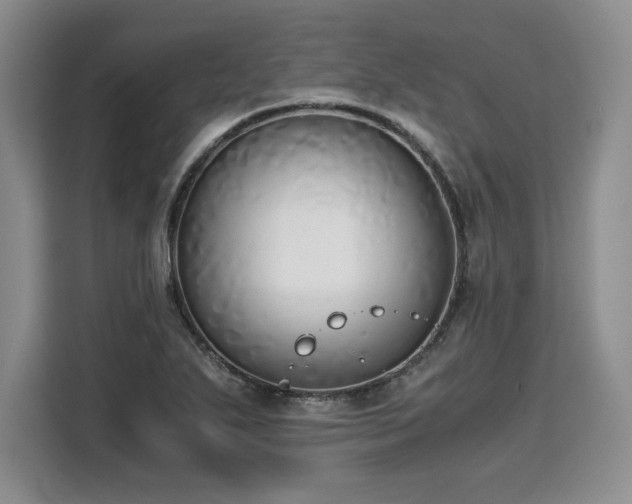 X0000110321271200905211519