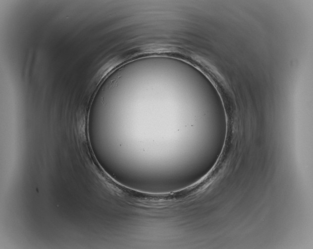 X0000110321273200905211519