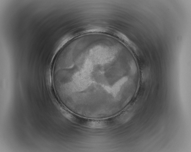 X0000110321274200905211519