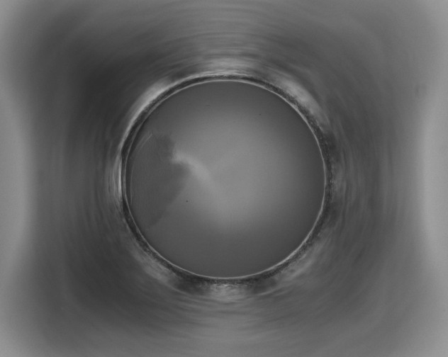 X0000110321275200905211519