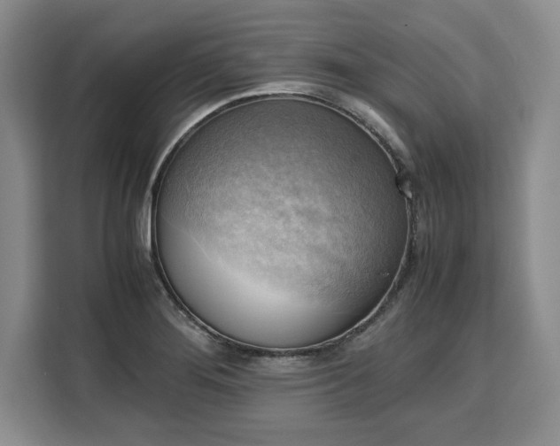 X0000110321276200905211519