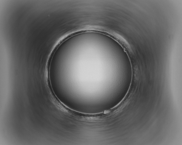 X0000110321280200905211519