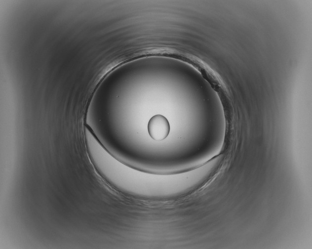 X0000110321281200905211519