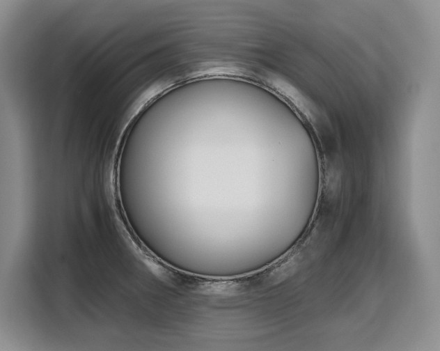 X0000110321282200905211519