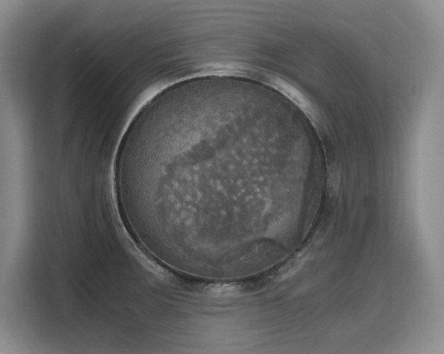 X0000110321283200905211519