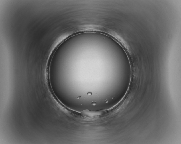 X0000110321285200905211519