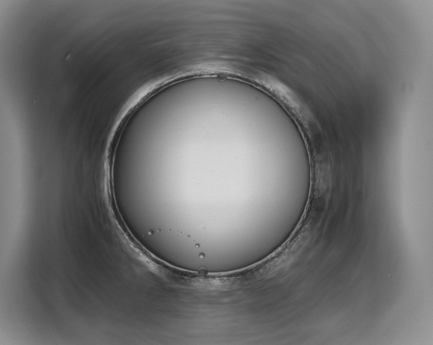 X0000110321286200905211519