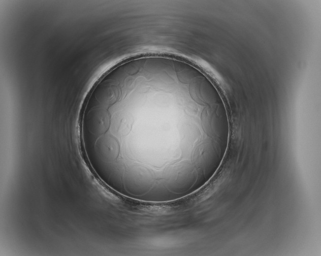 X0000110321287200905211519