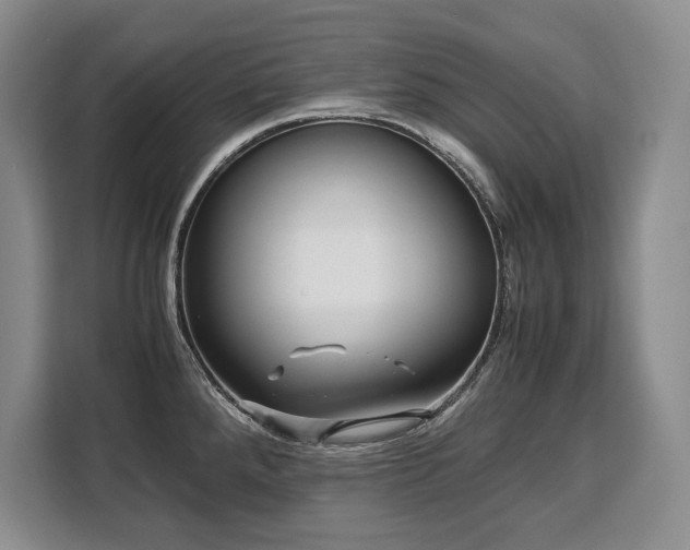 X0000110321288200905211519