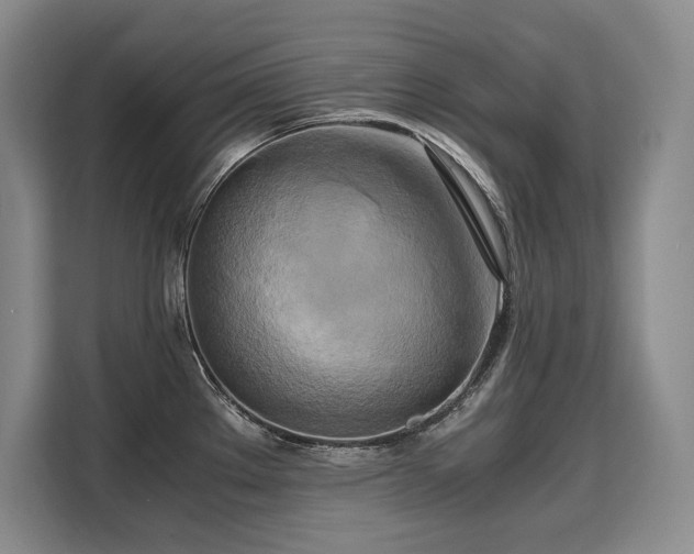 X0000110321289200905211519