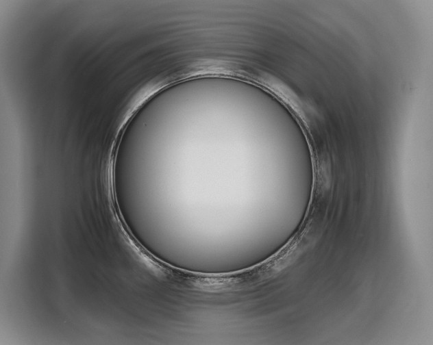 X0000110321290200905211519