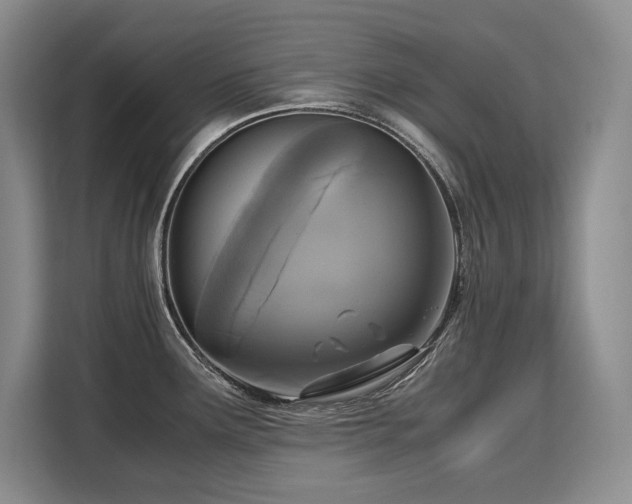 X0000110321291200905211519