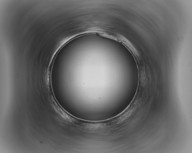 X0000110321292200905211518