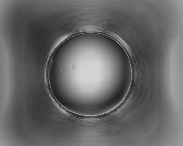 X0000110321293200905211518
