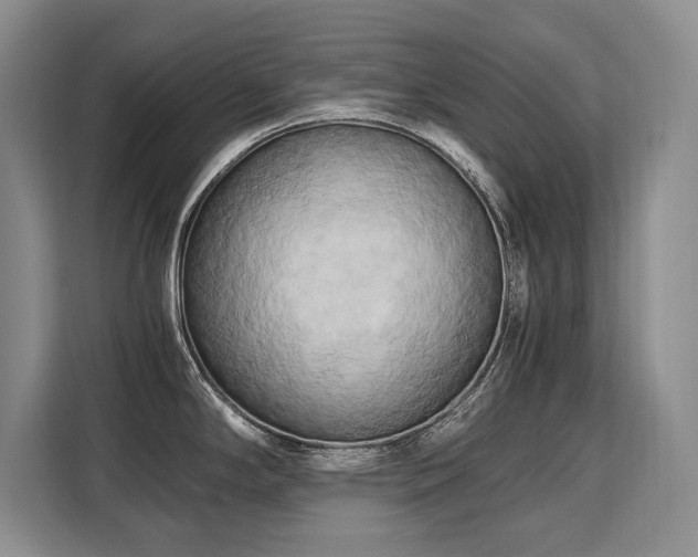 X0000110321294200905211518