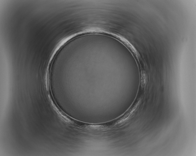 X0000110321295200905211518