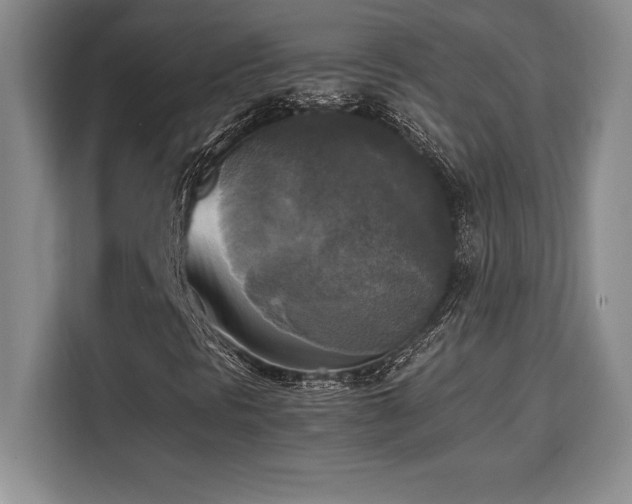 X0000110321297200905211518