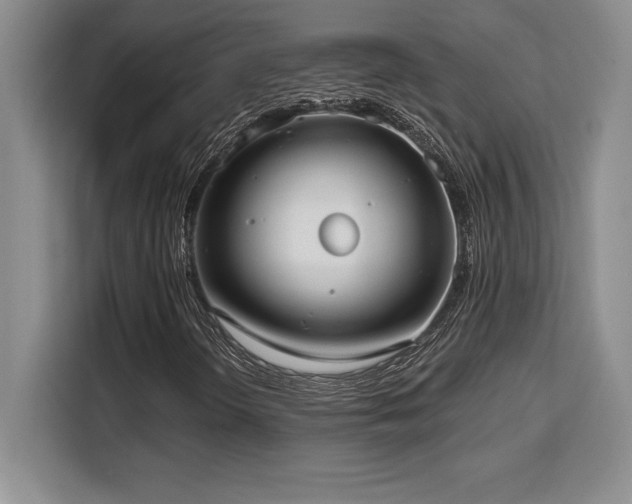 X0000110321298200905211518