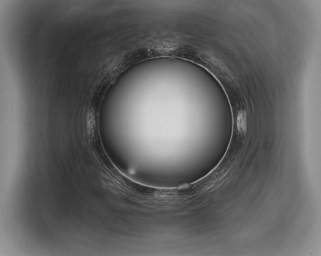 X0000110321299200905211518