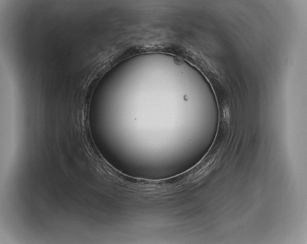 X0000110321300200905211518