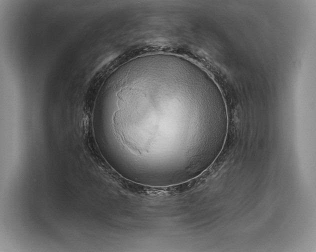 X0000110321302200905211518