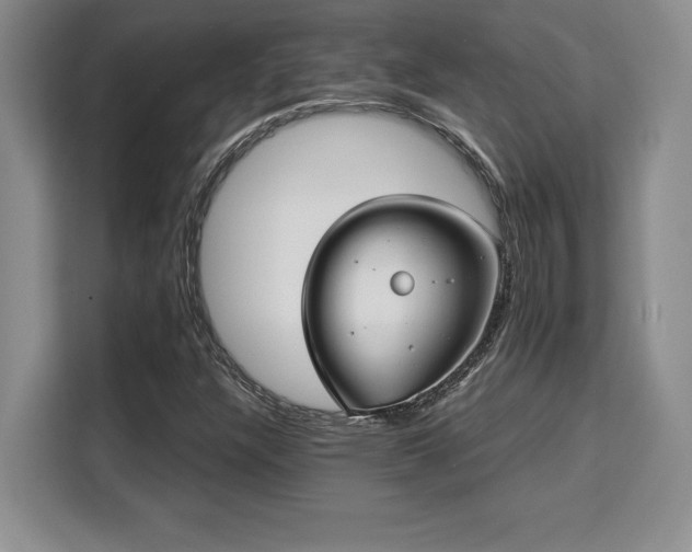 X0000110321304200905211518