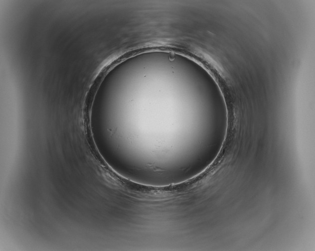 X0000110321308200905211518
