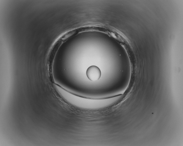 X0000110321310200905211518
