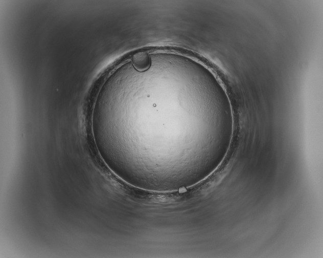 X0000110321311200905211518