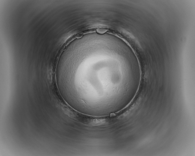 X0000110321313200905211518