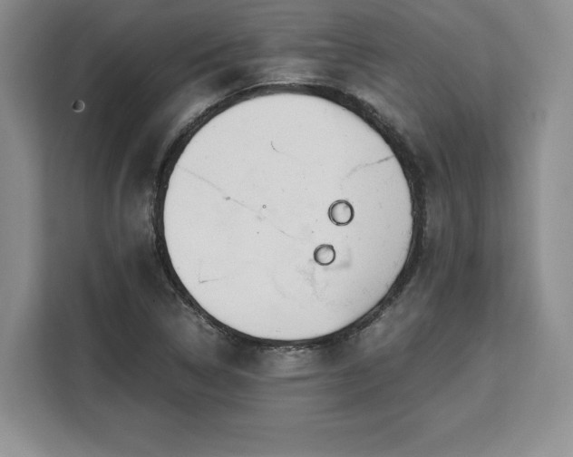 X0000110321314200905211518