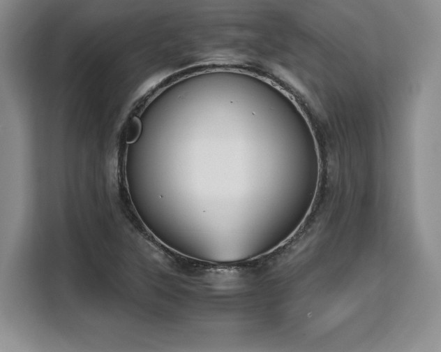 X0000110321315200905211518