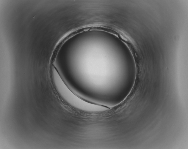 X0000110321316200905211518