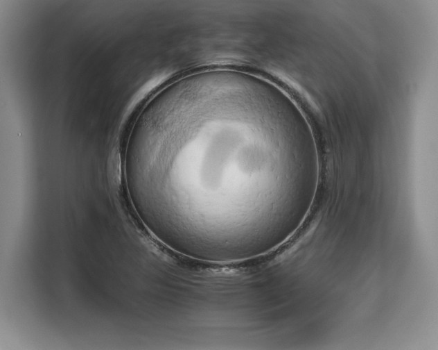 X0000110321317200905211518