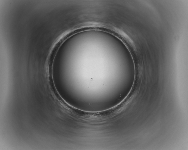 X0000110321318200905211518