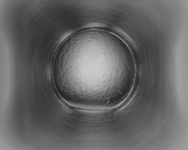 X0000110321321200905211518