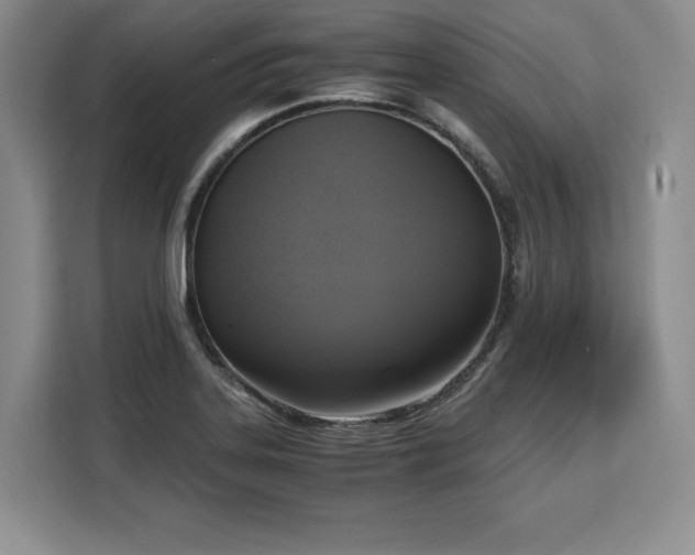 X0000110321323200905211518