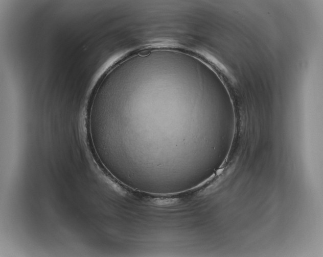 X0000110321325200905211518