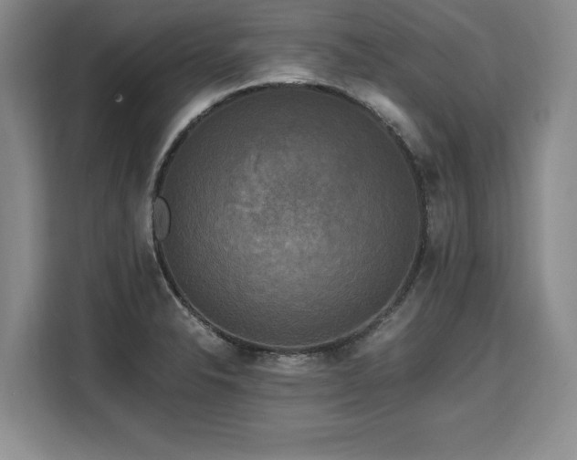 X0000110321326200905211518