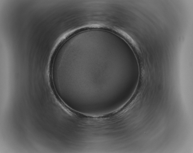 X0000110321327200905211518