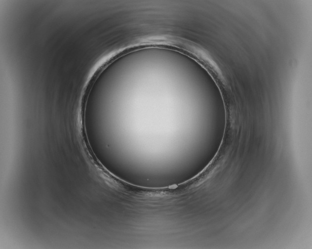 X0000110321328200905211518