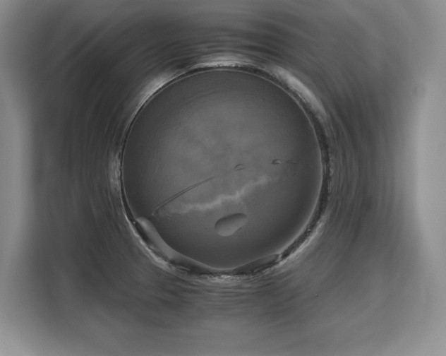 X0000110321329200905211518