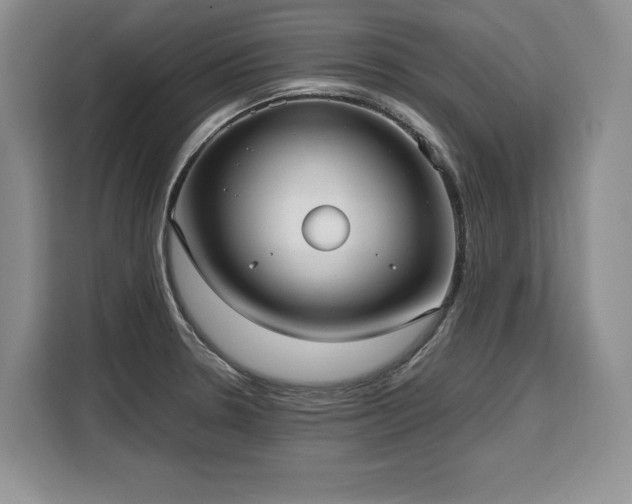 X0000110321330200905211518