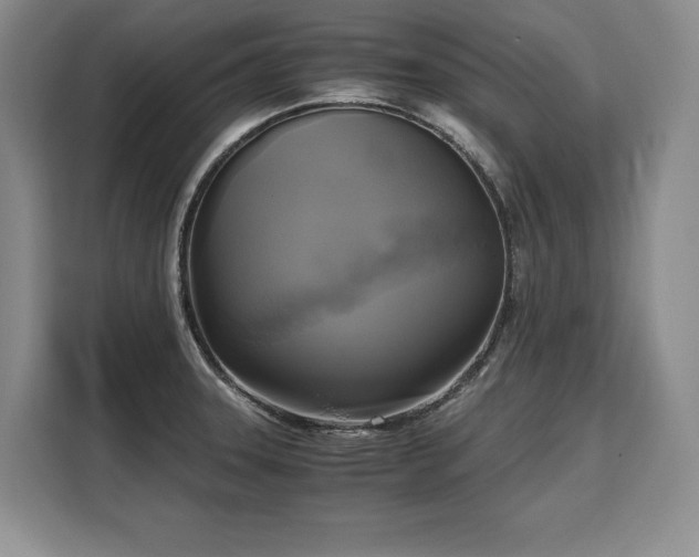 X0000110321331200905211518
