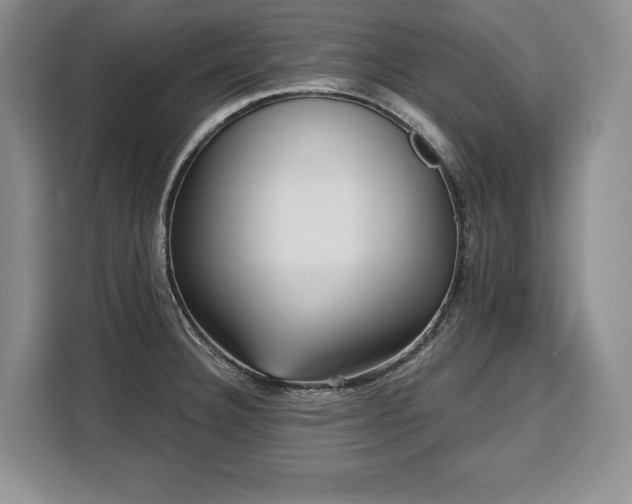 X0000110321332200905211518
