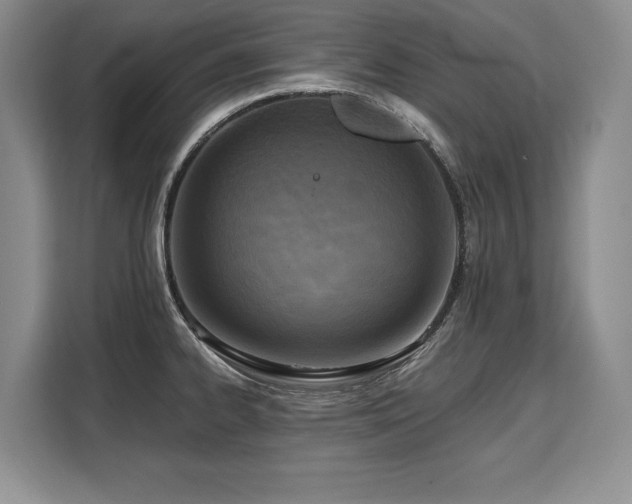 X0000110321334200905211518
