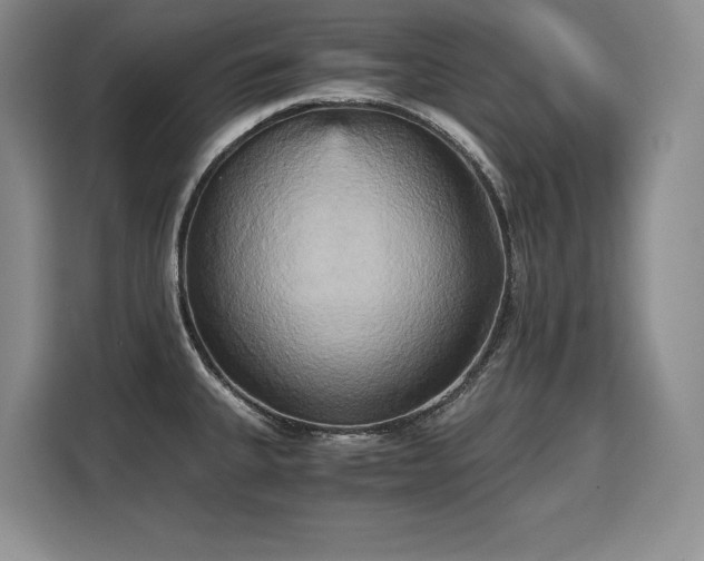 X0000110321335200905211518