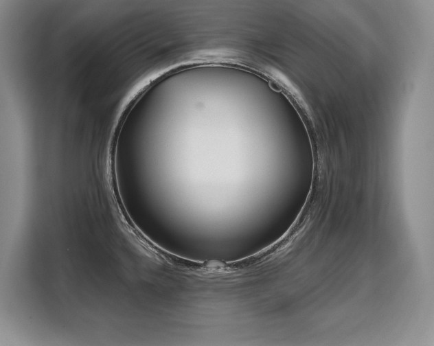 X0000110321336200905211518